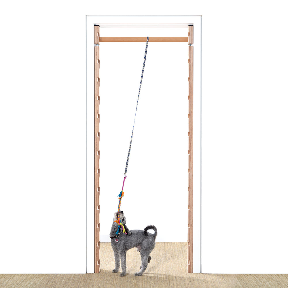 Robustes Hundespielzeug Seil für Tauziehen, geeignet zur Aufhängung an FatMonkey Sprossenwand, Zahnpflege, Muskelaufbau und Bindungsstärkung, interaktives Spielzeug für Hunde