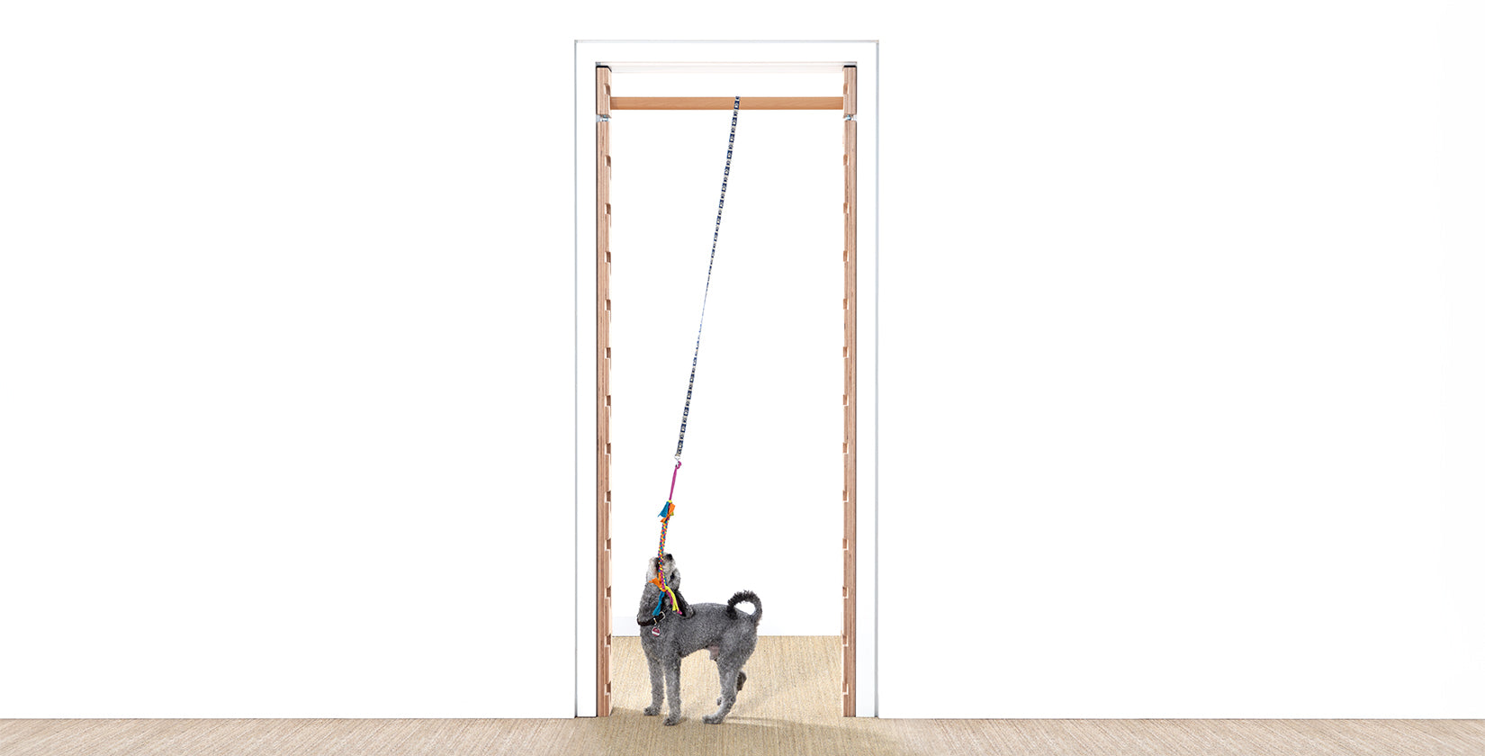 Robustes Hundespielzeug Seil für Tauziehen, geeignet zur Aufhängung an FatMonkey Sprossenwand, Zahnpflege, Muskelaufbau und Bindungsstärkung, interaktives Spielzeug für Hunde